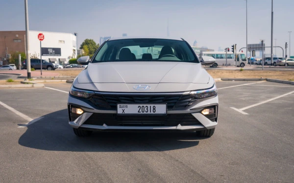  Grey Hyundai Elantra Photo 