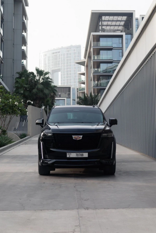  Black Cadillac Escalade Photo 