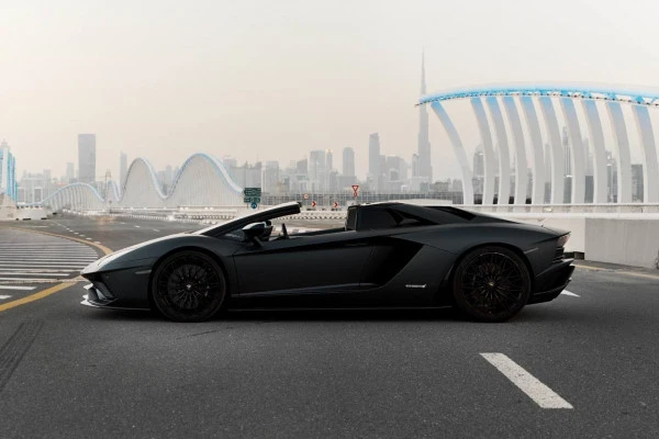  Black Lamborghini Aventador Roadster Photo 