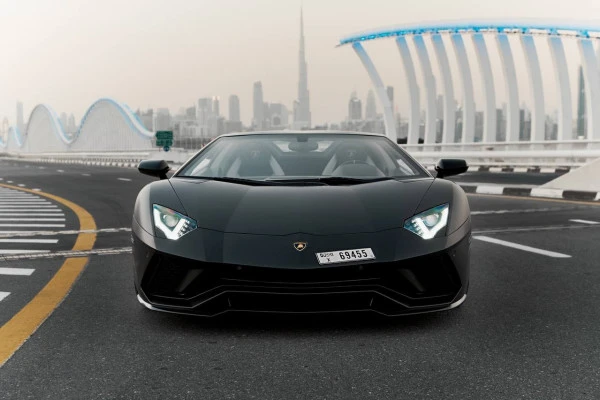 Black Lamborghini Aventador Roadster Photo 