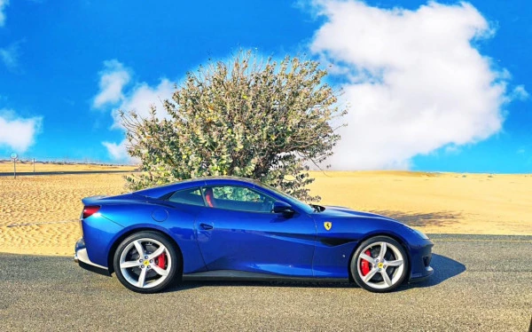  Blue Ferrari Portofino Rosso Photo 