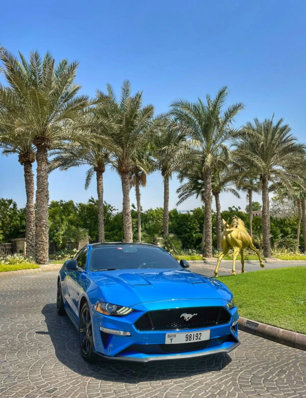  Blue Ford Mustang GT Premium V8 Photo 