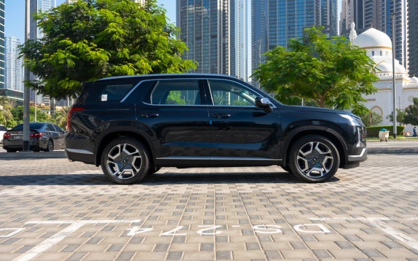  Black Hyundai Palisade Photo 