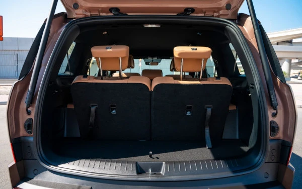  Brown Hyundai Santa Fe Photo 