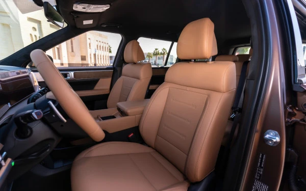  Brown Hyundai Santa Fe Photo 