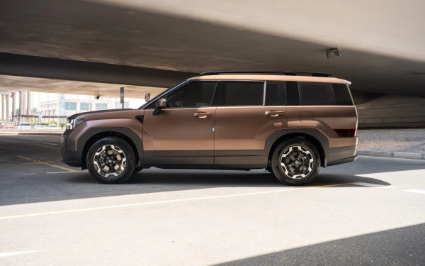  Brown Hyundai Santa Fe Photo 