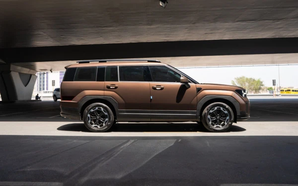  Brown Hyundai Santa Fe Photo 
