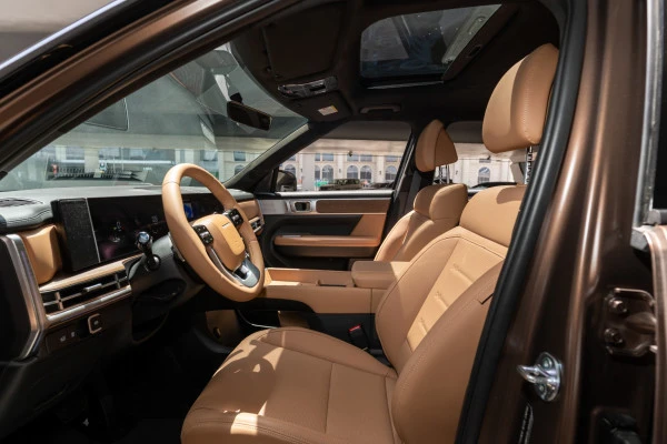  Brown Hyundai Santa Fe Photo 