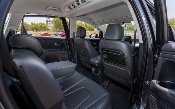  Grey Hyundai Stargazer Photo 