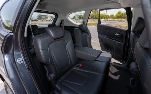  Grey Hyundai Stargazer Photo 