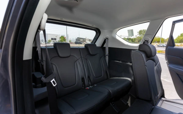  Grey Hyundai Stargazer Photo 