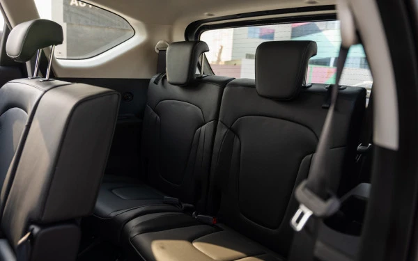  Grey Hyundai Stargazer Photo 