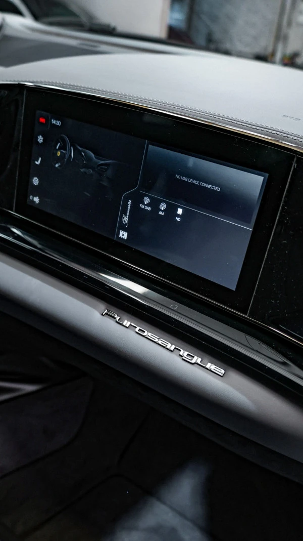  Red Ferrari Purosangue Photo 