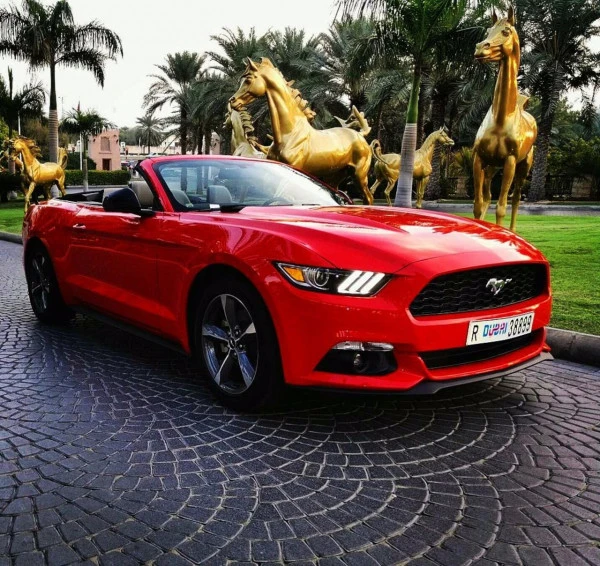  Red Ford Mustang Convertible Photo 