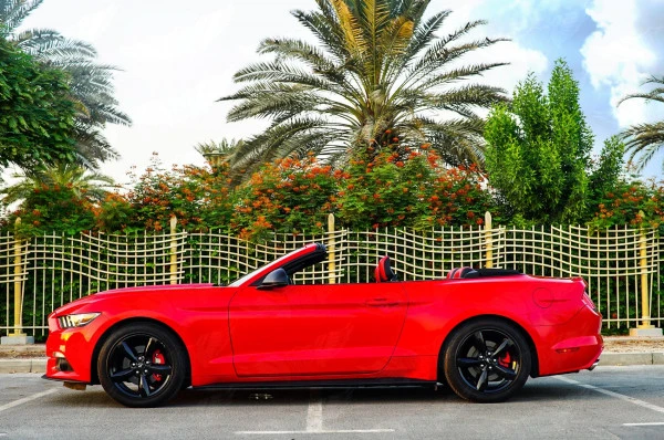  Red Ford Mustang Convertible Photo 