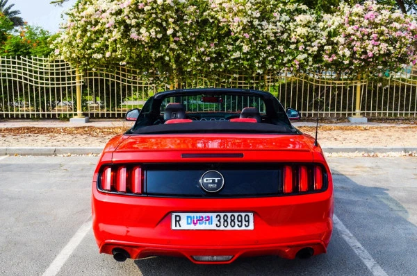  Red Ford Mustang Convertible Photo 