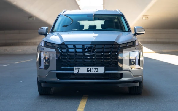  Silver Hyundai Palisade Photo 