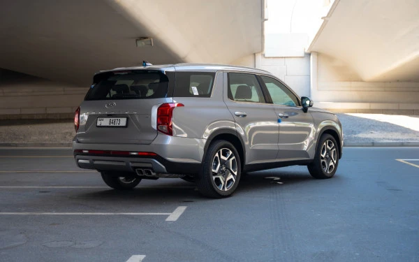 Silver Hyundai Palisade Photo 