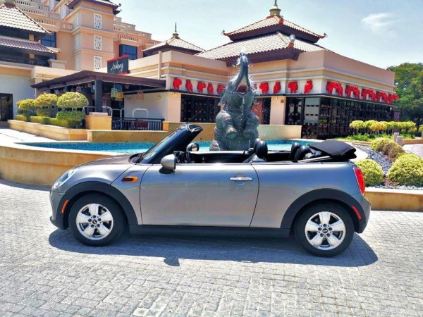  Silver Mini Cooper cabrio Photo 