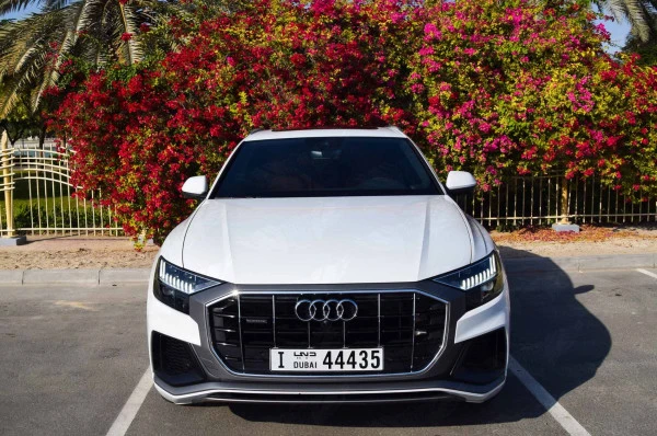  White Audi Q8 Photo 
