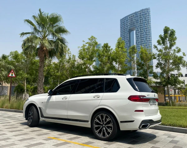  White BMW X7 Photo 