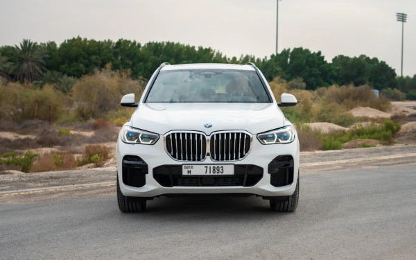  White BMW X5 Photo 