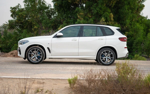  White BMW X5 Photo 