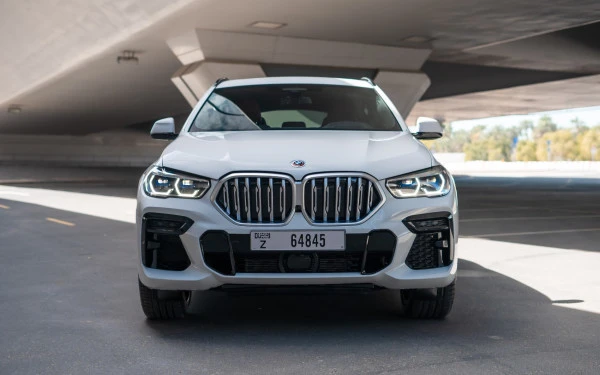  White BMW X6 Photo 