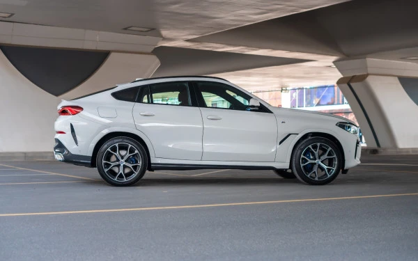  White BMW X6 Photo 