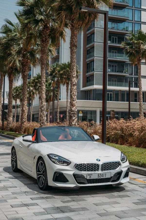  White BMW Z4 cabrio Photo 