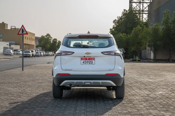  White Chevrolet Groove Photo 