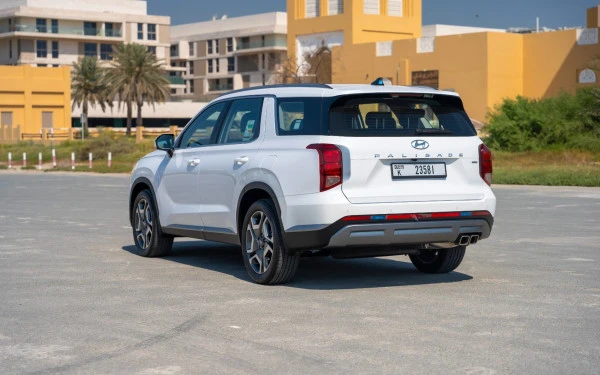  White Hyundai Palisade Photo 