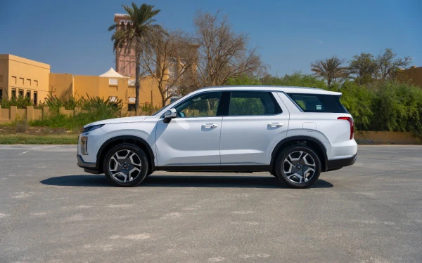 White Hyundai Palisade Photo 