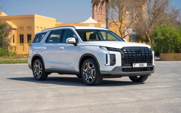  White Hyundai Palisade Photo 