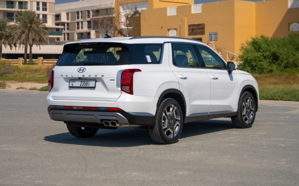  White Hyundai Palisade Photo 
