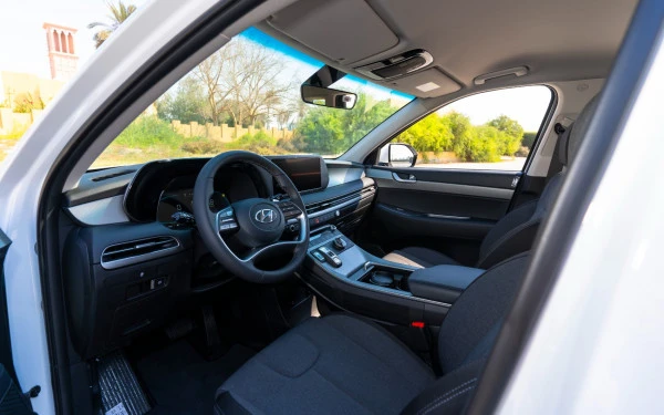  White Hyundai Palisade Photo 