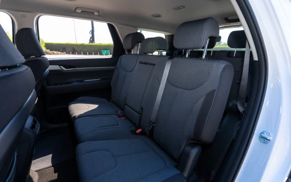  White Hyundai Palisade Photo 