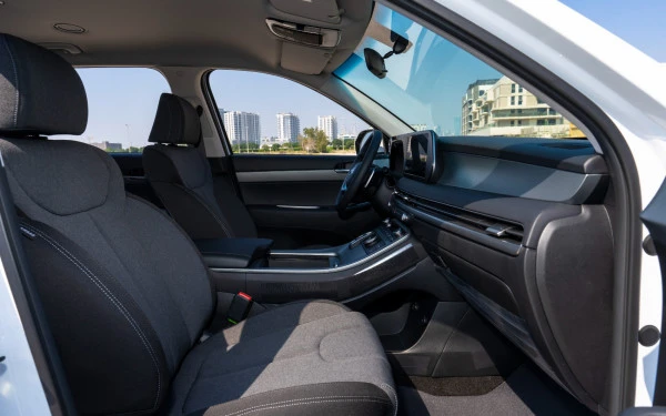  White Hyundai Palisade Photo 