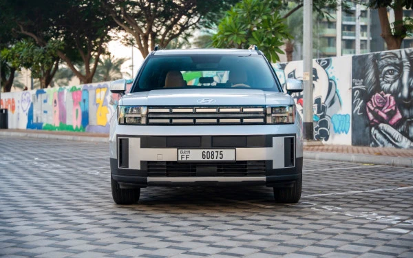  White Hyundai Santa Fe Photo 