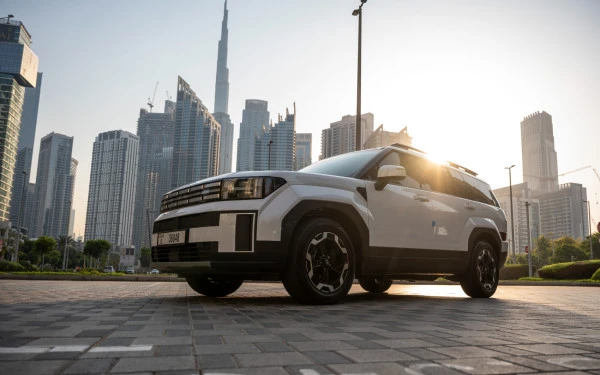  White Hyundai Santa Fe Photo 
