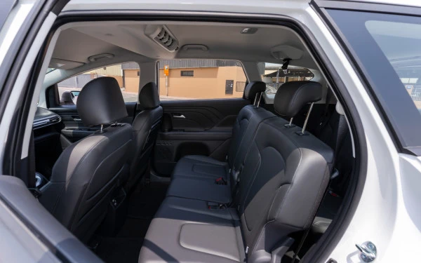  White Hyundai Stargazer Photo 