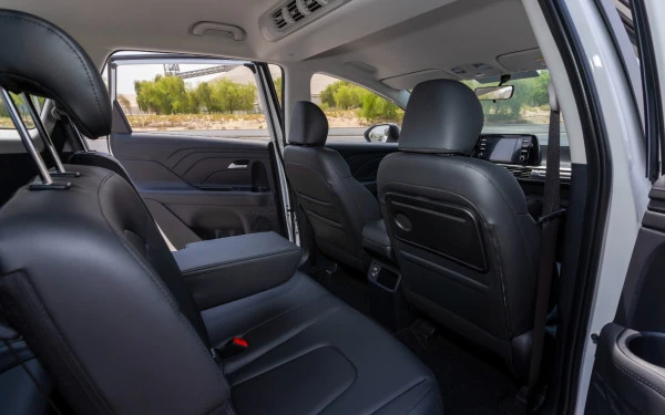  White Hyundai Stargazer Photo 