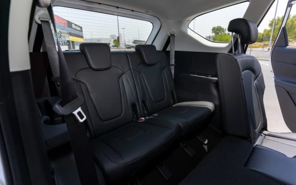  White Hyundai Stargazer Photo 