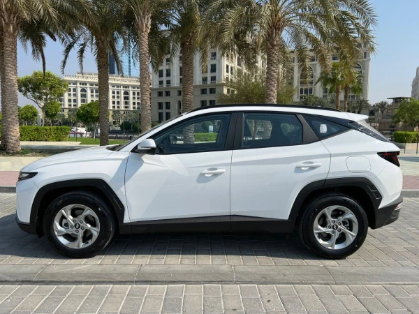  White Hyundai Tucson Photo 