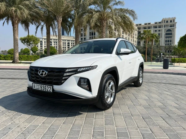  White Hyundai Tucson Photo 