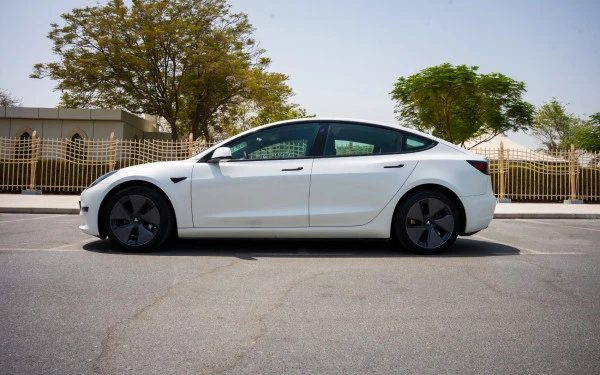  White Tesla Model 3 Photo 