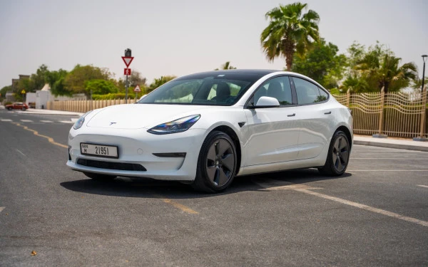  White Tesla Model 3 Photo 