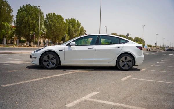  White Tesla Model 3 Photo 