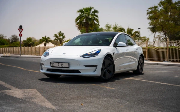  White Tesla Model 3 Photo 
