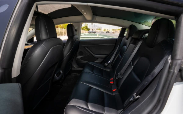  White Tesla Model 3 Photo 